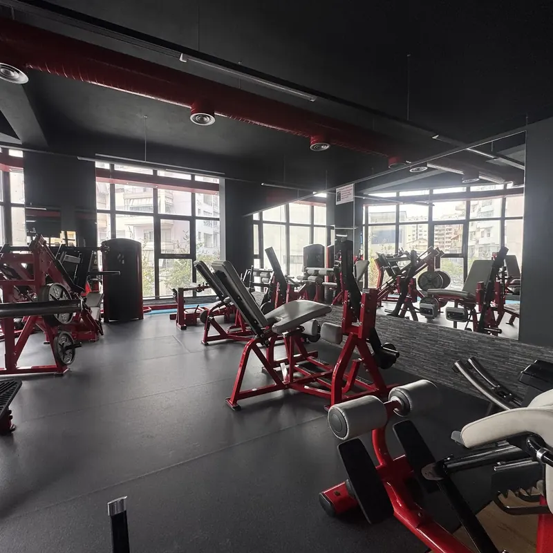 Red plate-loaded machines in front of a mirrored wall and tall windows