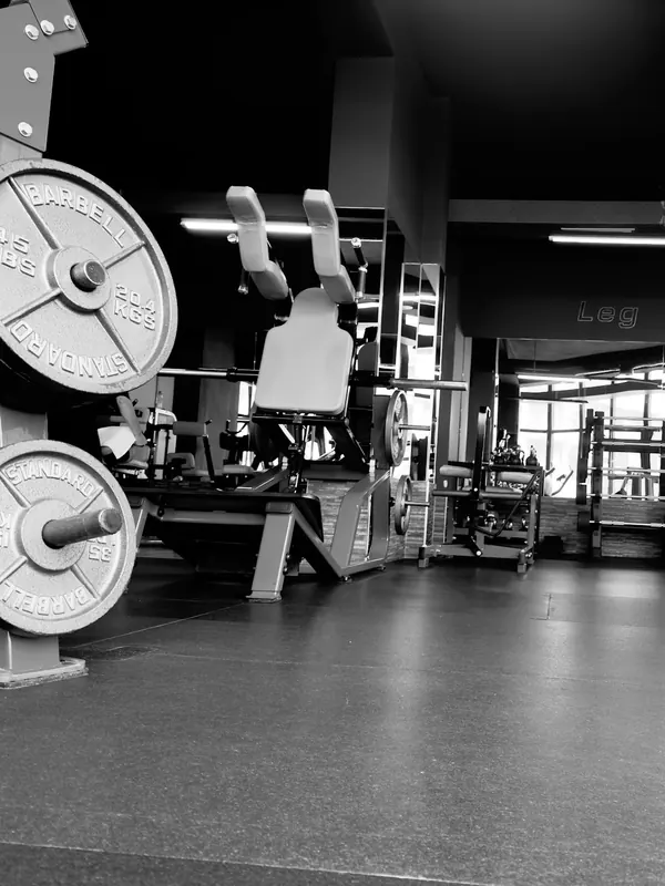 Plate-loaded machines and barbell plates in the leg zone, in black and white