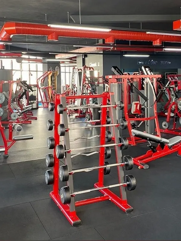 A rack of fixed barbells with dumbbells behind it